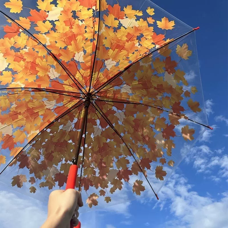 Transparent Maple Leaf Umbrella for Rainy Days with Iron Handle - Model: 728137578631 - 图片 7